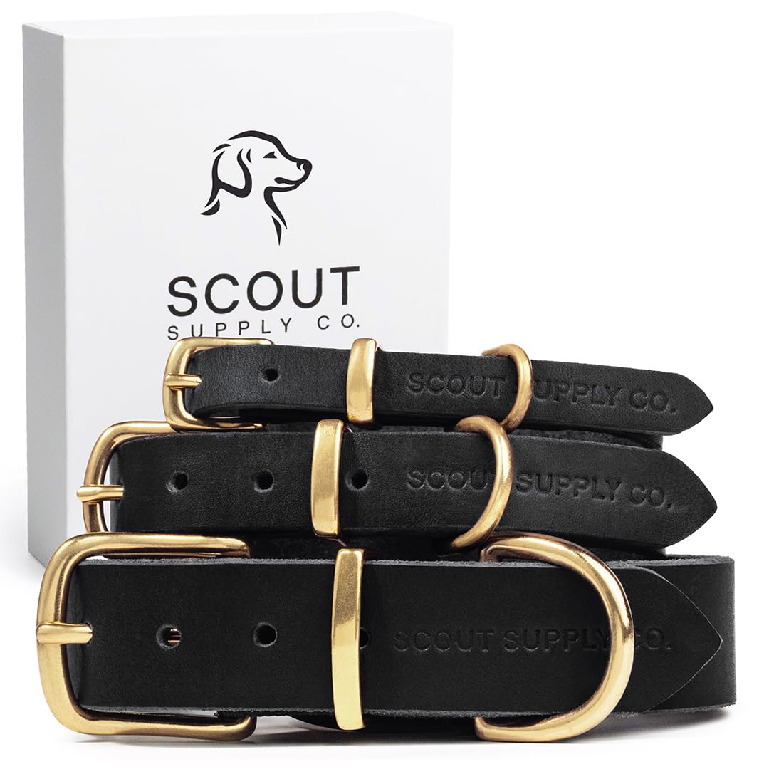Collar de Cuero Genuino para Perros | Maison Canin
