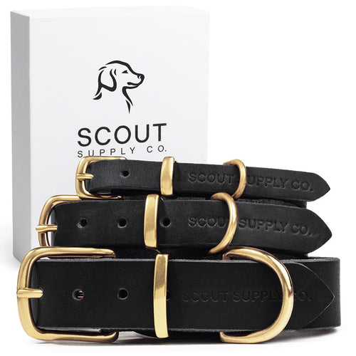 Collar de Cuero Genuino para Perros | Maison Canin